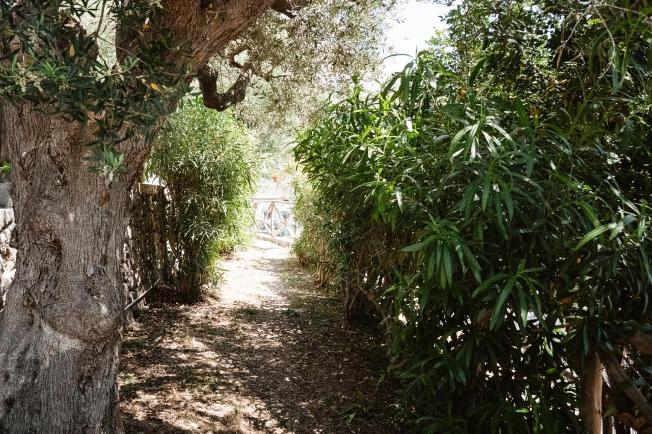 Casa Gioia Daire Amalfi Dış mekan fotoğraf